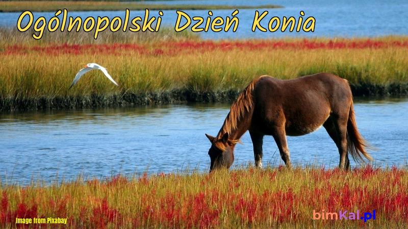 Tradycje jeździeckie