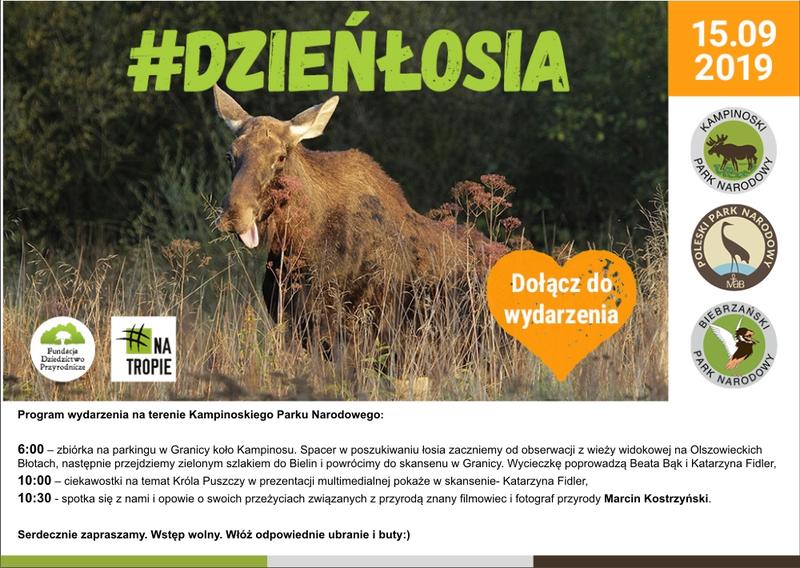 Tradycyjne potrawy łosiowe