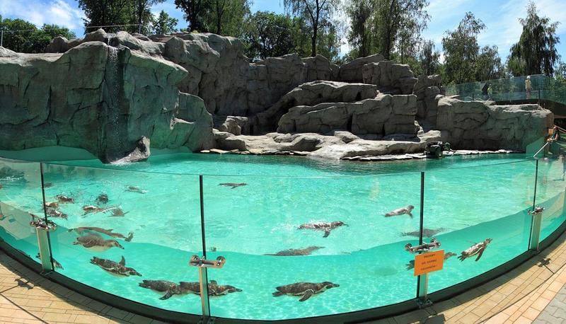 Zielone zakątki do relaksu