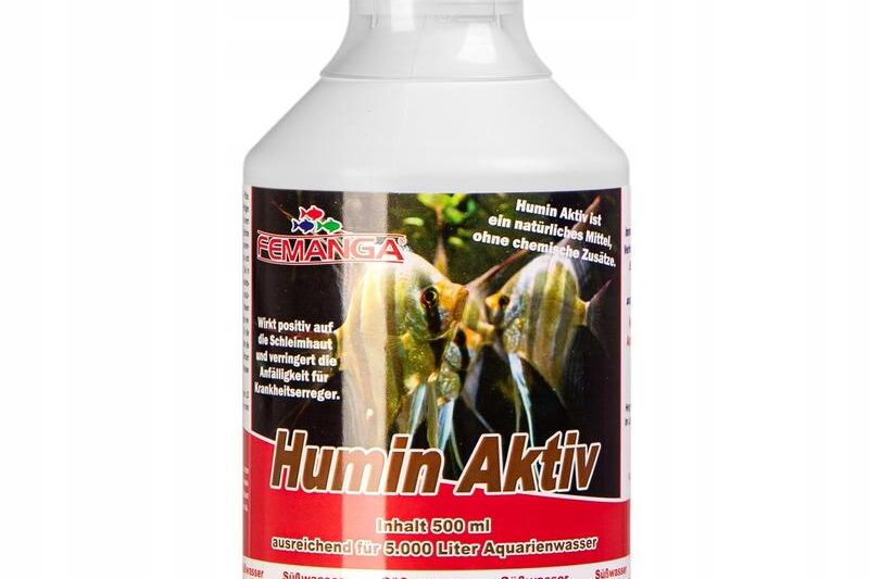 Jak skutecznie dbać o zdrowie ryb akwariowych: choroby i profilaktyka w praktyce