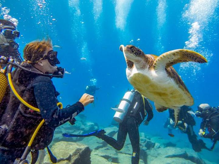 Odkryj fascynujący świat nurkowania na Teneryfie