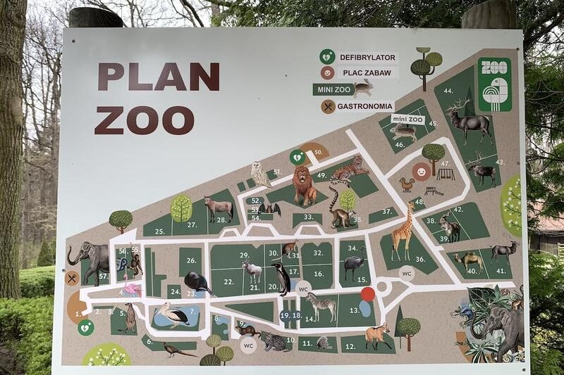 Odkryj uroki zoo w Krakowie – niezwykła przygoda dla całej rodziny