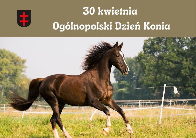 Świętowanie Dnia Konia: Tradycje i Inspiracje dla Miłośników Jeździectwa