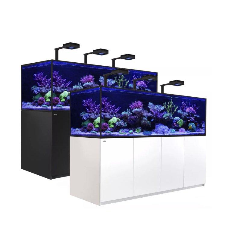 Akwarystyka dla początkujących