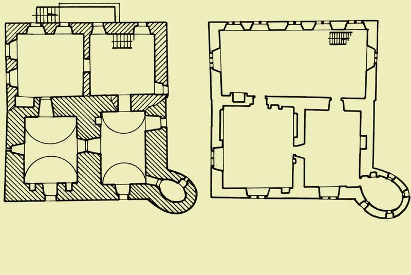 Ciekawostki o jeżach