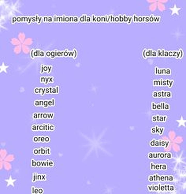 Jak wybrać imię dla konia