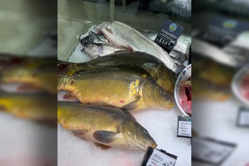 Ochrona zwierząt w handlu