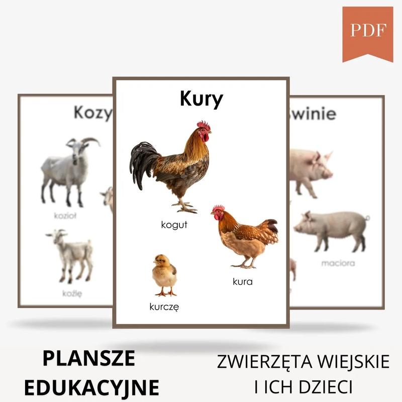 Odpowiedzialność w opiece nad zwierzęciem