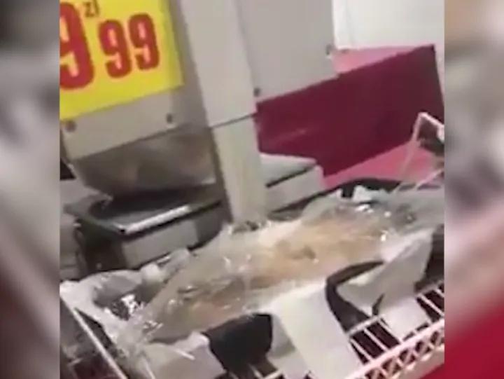 Prawidłowe warunki życia ryb