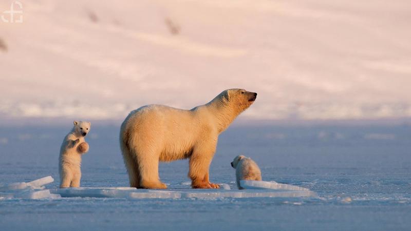 Świadomość ekologiczna i przyroda