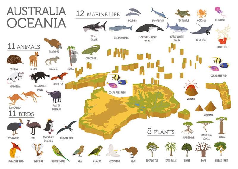 Unikalne zwierzęta Australii