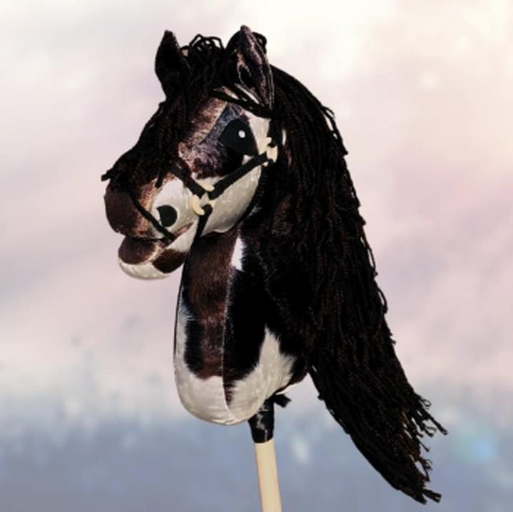 Życie społeczne koni