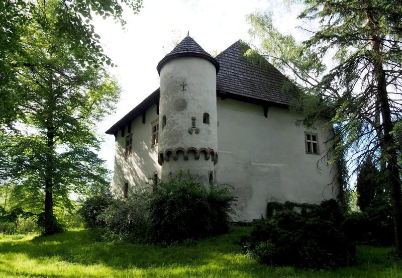 Jezowie w polskiej przyrodzie – fascynujący świat tych małych ssaków