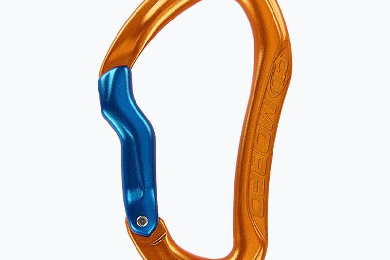 Odkrywamy tajemnice największego motyla świata: fascynujący świat majestatycznych owadów