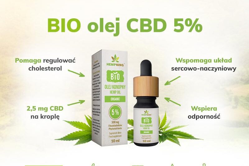 Olej CBD dla psa – odkryj jego właściwości i zdecyduj, czy warto!