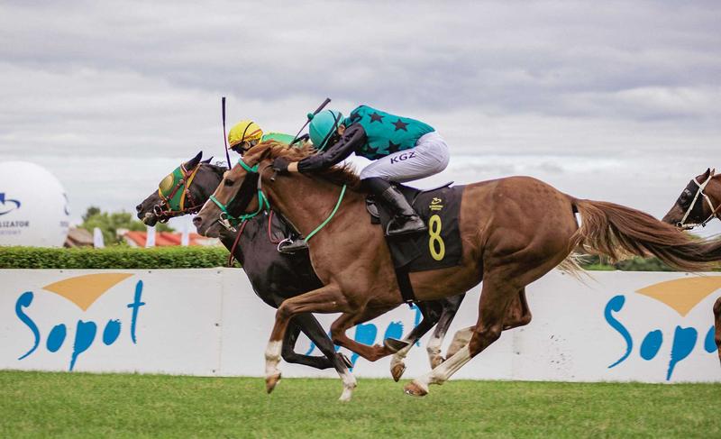 Wszystko, co musisz wiedzieć o wyścigach konnych: przewodnik dla początkujących