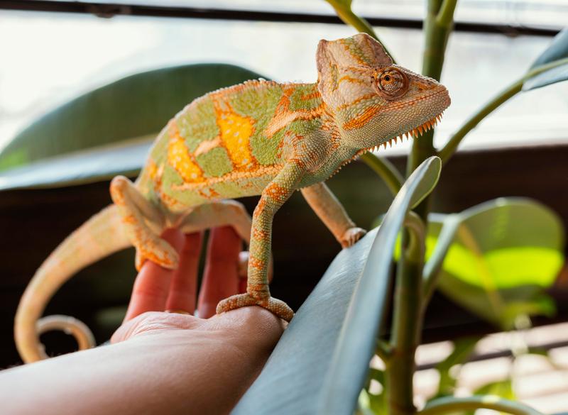 Ekosystemy i bioróżnorodność