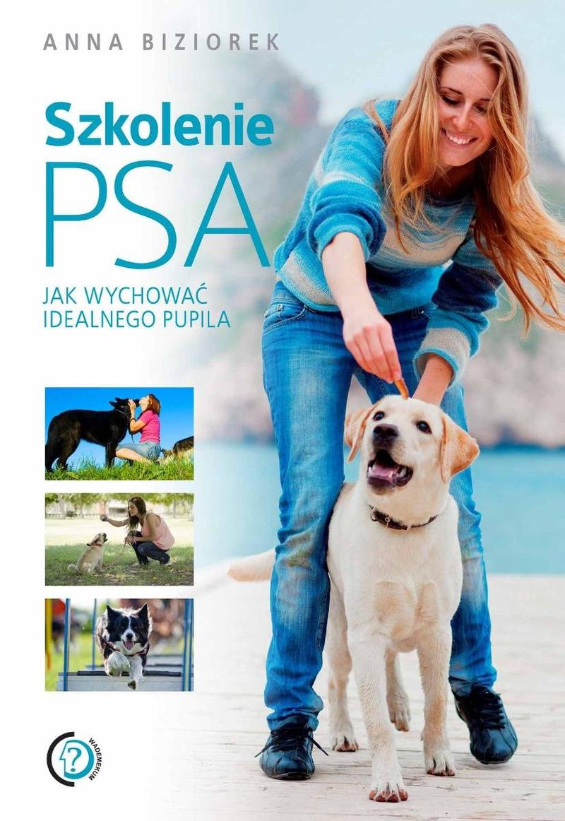 Pozytywne szkolenie psa