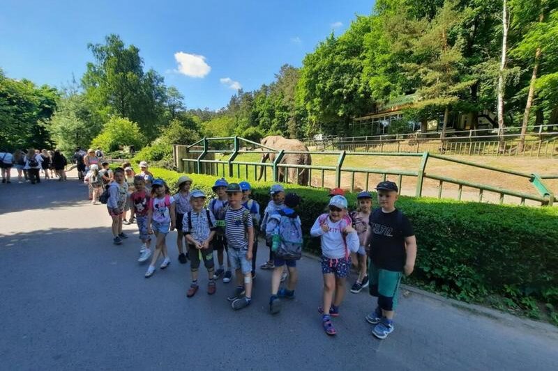 Jak zaplanować niezapomnianą wizytę w zoo – sprawdzone przepisy na udaną wyprawę