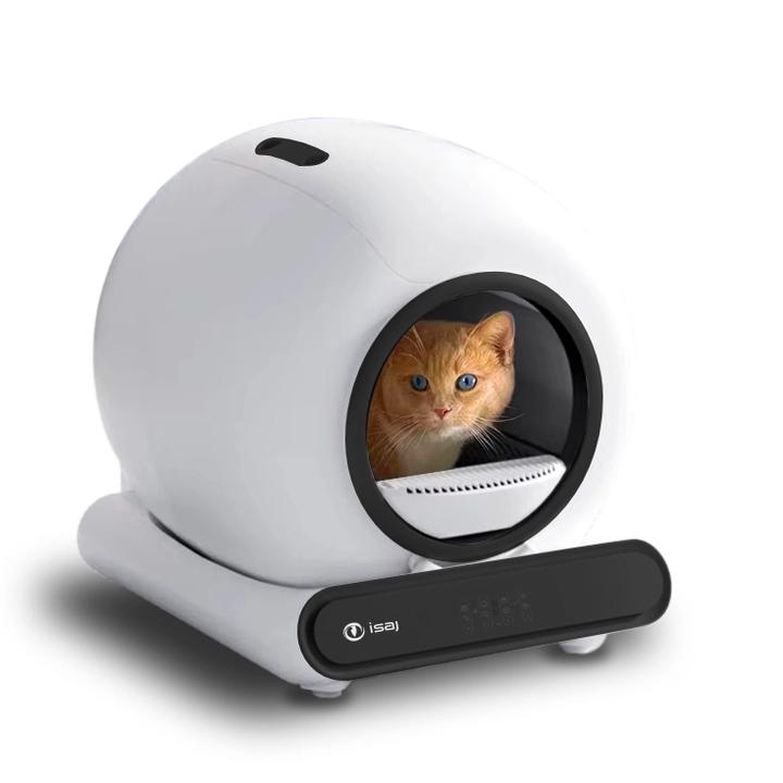 Codzienna opieka nad kotem