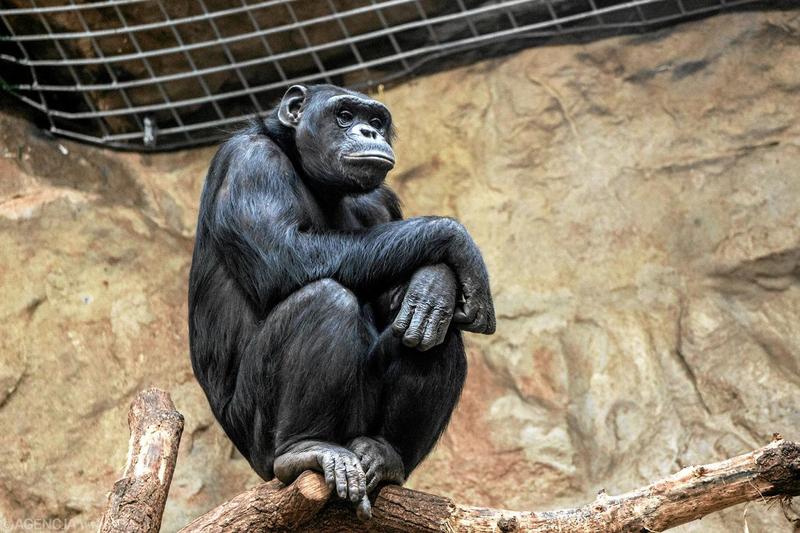 Edukacyjne wystawy w zoo