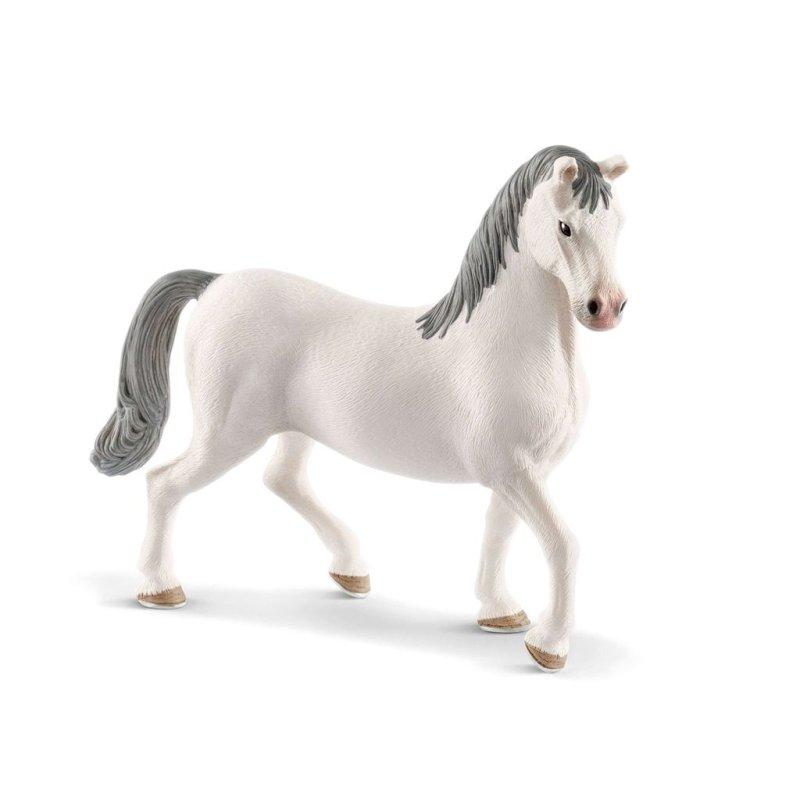 Elegancja koni lipicańskich