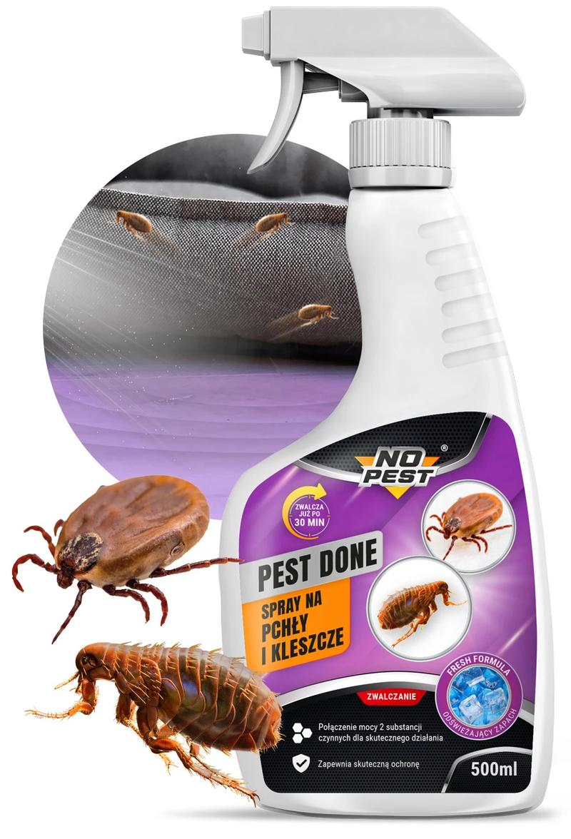 Objawy ukąszenia pcheł