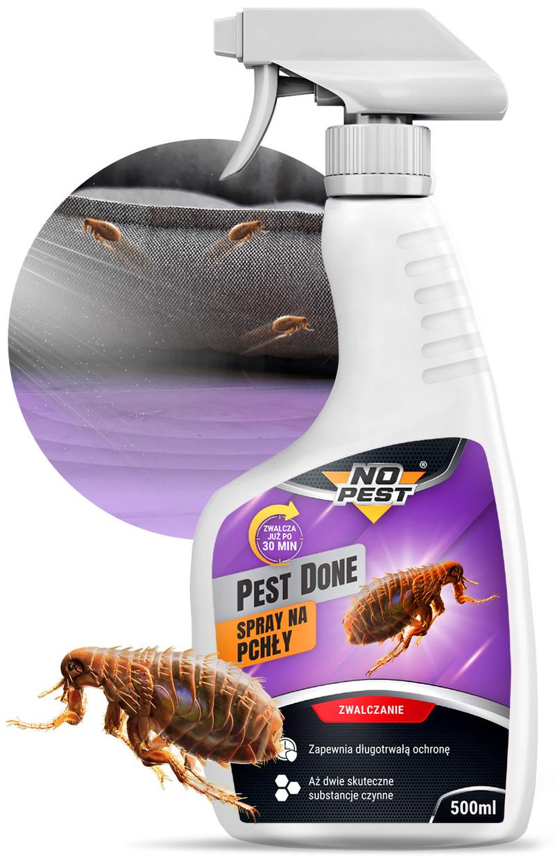 Zwalczanie pcheł w domu