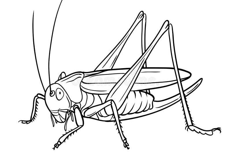 Czy pasikonik może cię ugryźć? Oto, co warto wiedzieć!