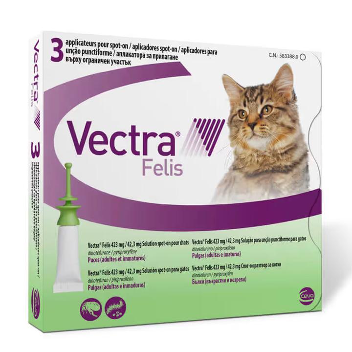 Czy pchły mogą być groźne dla zdrowia człowieka?