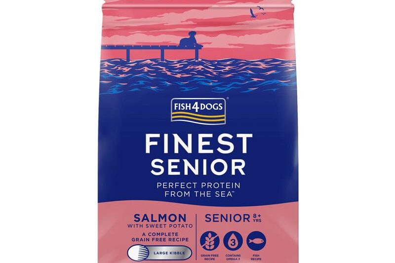 Jak wybrać najlepszą karmę dla psa seniora? Przewodnik dla świadomych opiekunów