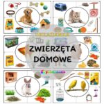 Jakie zwierzęta najlepiej nadają się do mieszkania w bloku?