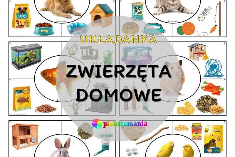 Jakie zwierzęta najlepiej nadają się do mieszkania w bloku?