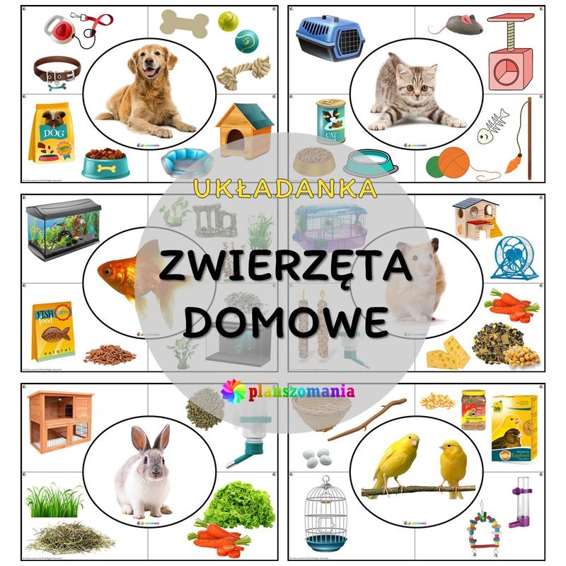 Jakie zwierzęta najlepiej nadają się do mieszkania w bloku?