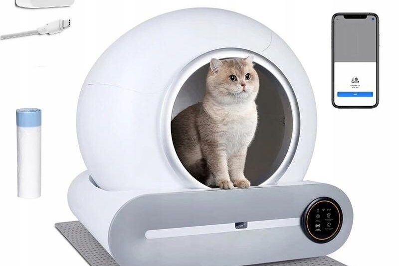 Rewolucja w pielęgnacji kota: jak kuweta samoczyszcząca zmienia codzienność zwierzęcych opiekunów