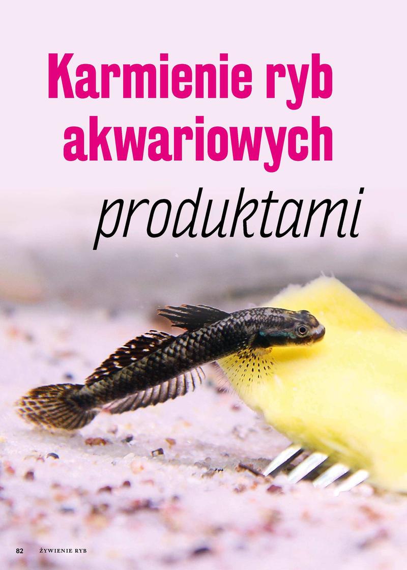 Dobór karmy dla różnych gatunków ryb