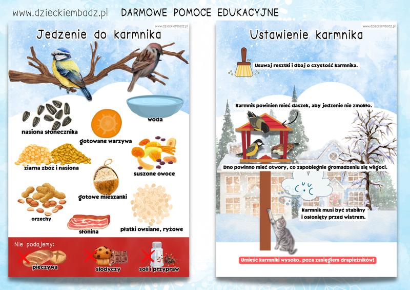 Karmienie ptaków zimą