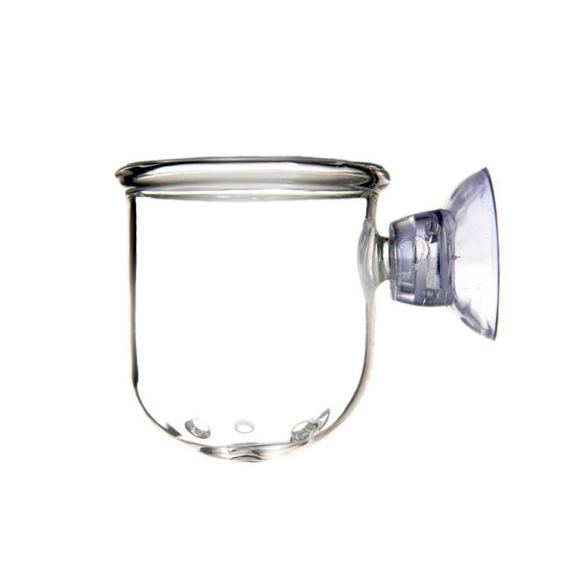 Karmienie ryb akwariowych słodkowodnych