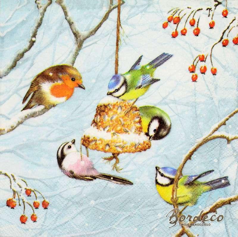 Pożywienie przyciągające różne gatunki