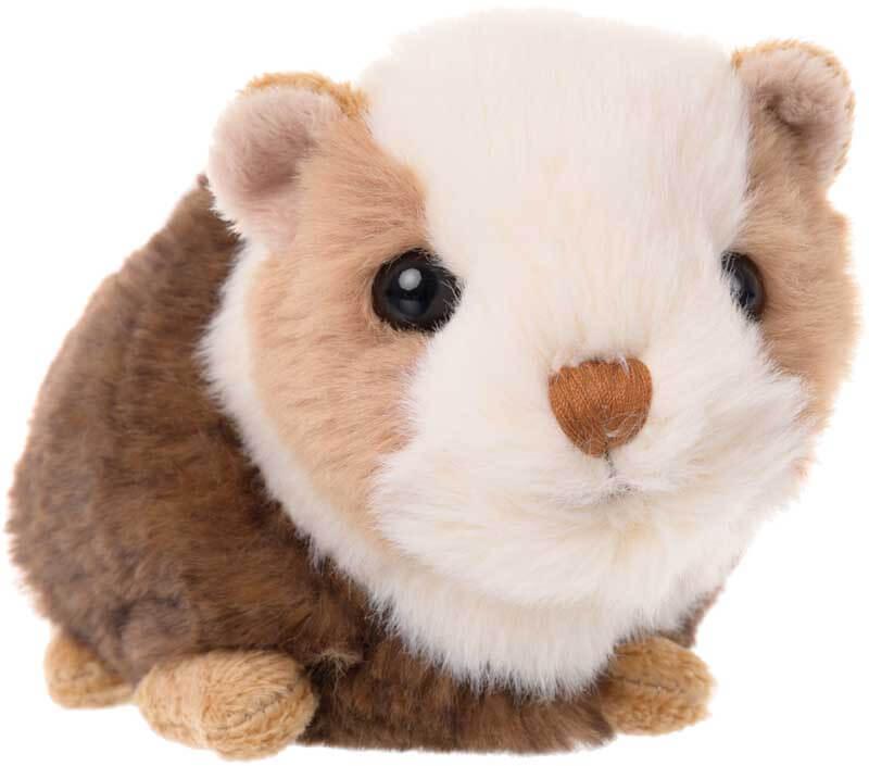 Przyczyny niejedzenia świnki morskiej