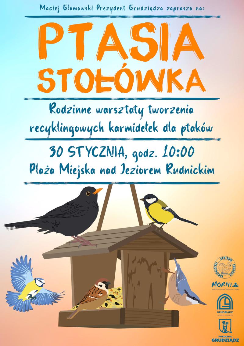 Ptasia stołówka i karmnik zimowy
