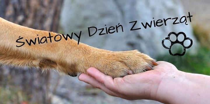 Znaczenie zwierząt w naszym życiu