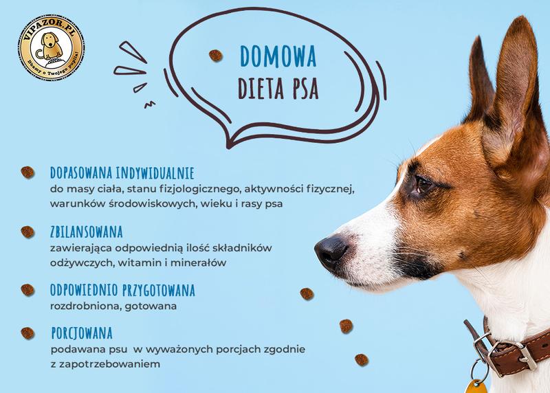 Jak dieta odchudzająca dla psa różni się od ludzkiej: co powinieneś wiedzieć?