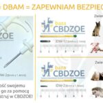 Zdobądź spokój z darmowym czipowaniem swojego pupila
