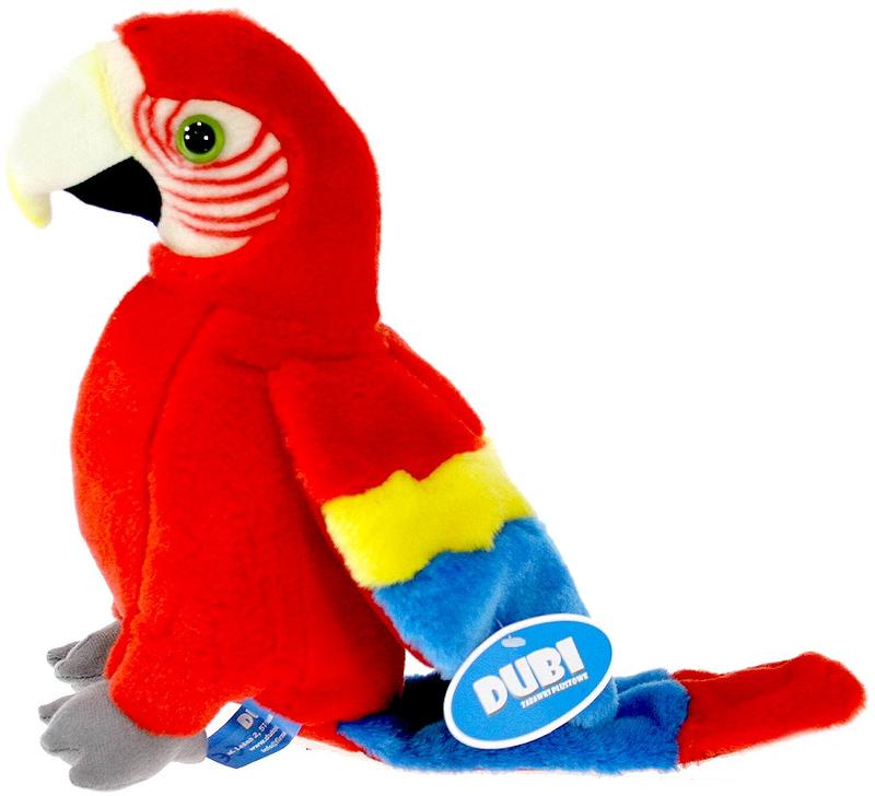 Cechy fizyczne ara czerwonej