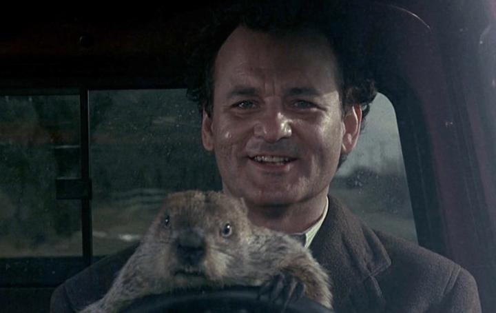 Ciekawostki o świstaku i znaczenie w kulturze