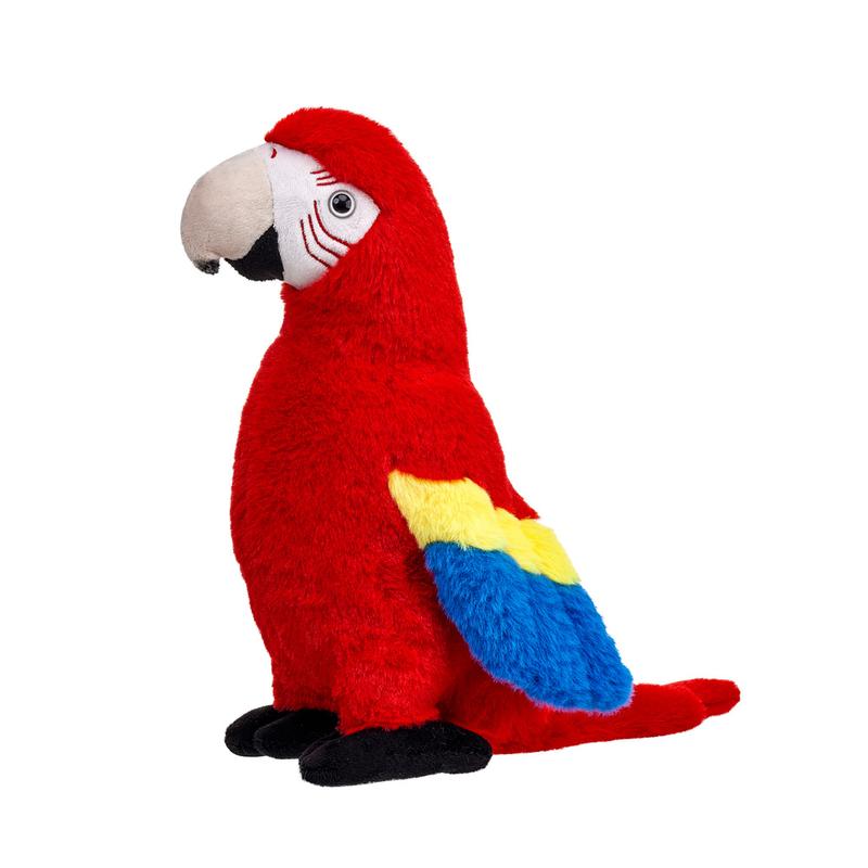 Egzotyczne papugi informacje