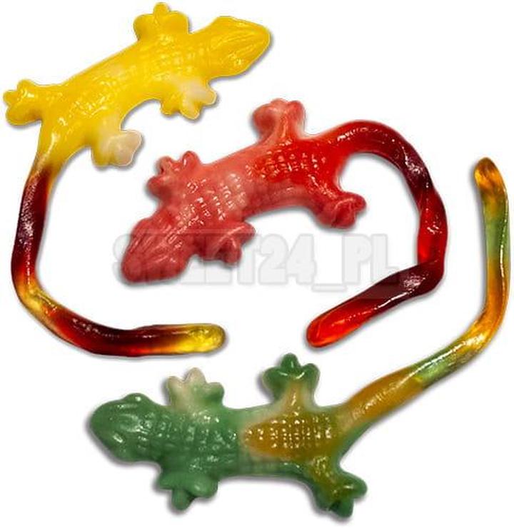 Gatunki jaszczurek dla początkujących