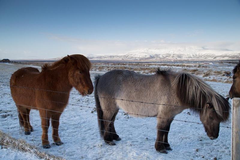 Naturalne siedliska i krajobrazy Islandii