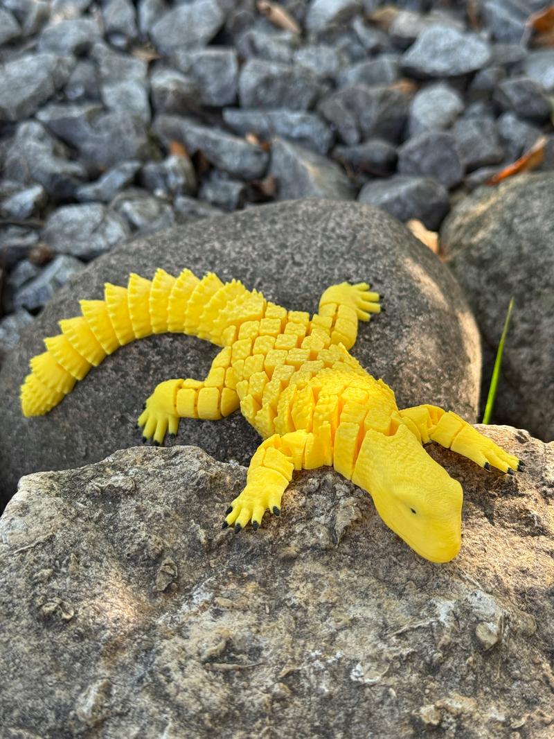 Opieka nad biczogonem